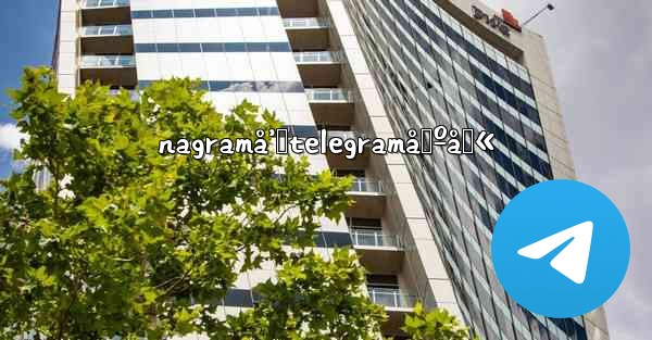 nagramå’ŒtelegramåŒºåˆ«