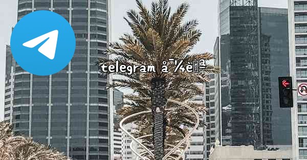 telegram å¯¼èˆª