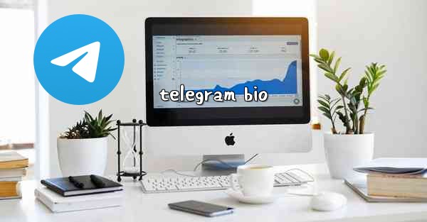 telegram bio