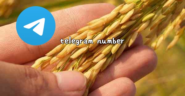 telegram number