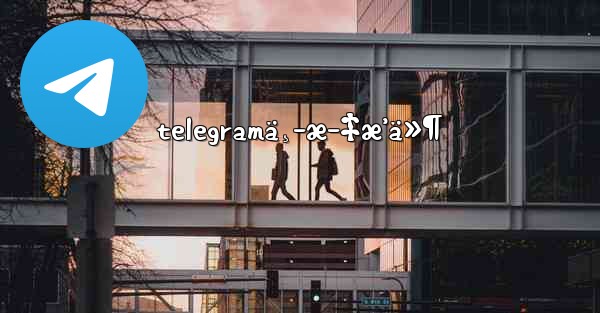 telegramä¸­æ–‡æ’ä»¶