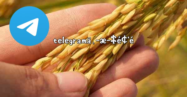 telegramä¸­æ–‡é¢‘é