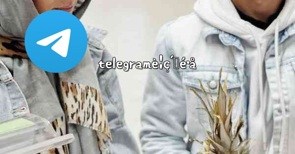 telegramè¦ç´„é•å