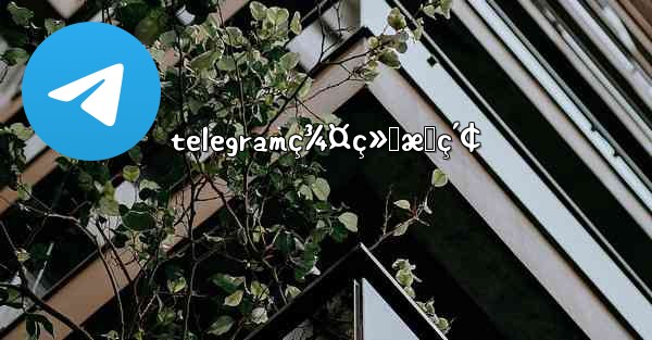 telegramç¾¤ç»„æœç´¢