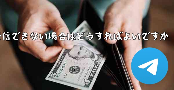 Paper Planeで認証コードを受信できない場合はどうすればよいですか