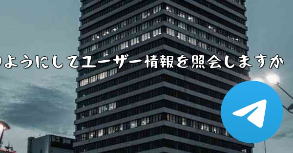 Paper Plane はどのようにしてユーザー情報を照会しますか