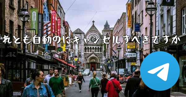 紙飛行機は自分でキャンセルするべきですかそれとも自動のにキャンセルすべきですか