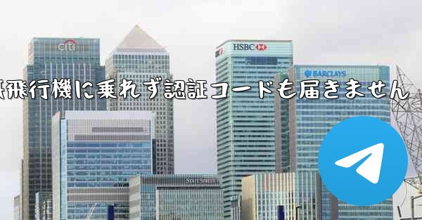 紙飛行機に乗れず認証コードも届きません