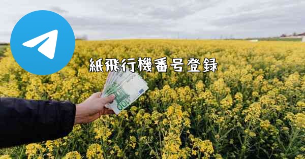 <b>紙飛行機番号登録</b>