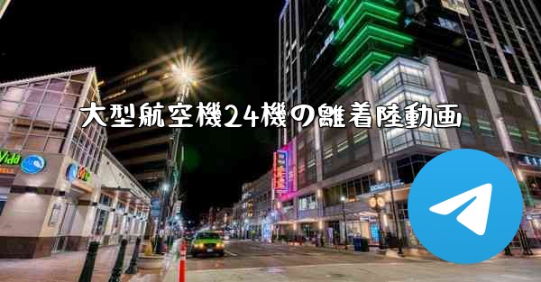 大型航空機24機の離着陸動画