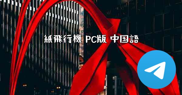 紙飛行機 PC版 中国語