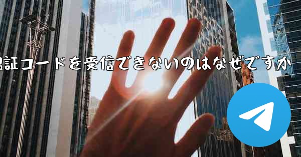 Paper Plane が SMS 認証コードを受信できないのはなぜですか