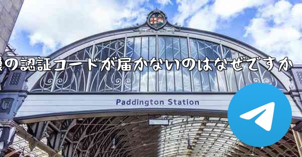 紙飛行機の認証コードが届かないのはなぜですか