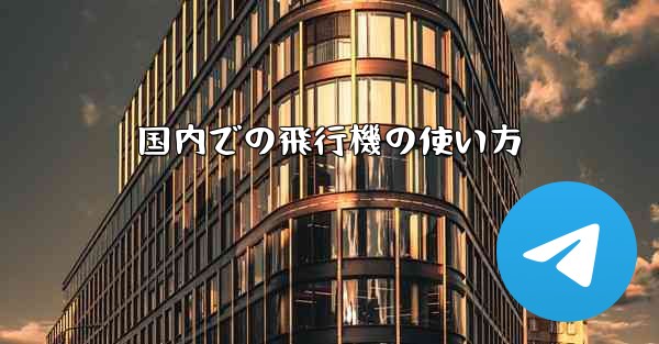 国内での飛行機の使い方