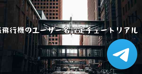 紙飛行機のユーザー名設定チュートリアル