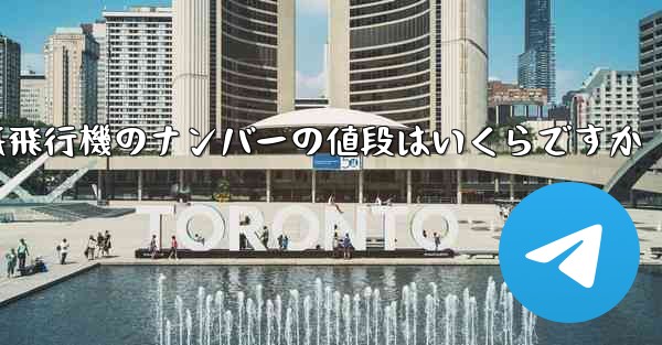 紙飛行機のナンバーの値段はいくらですか