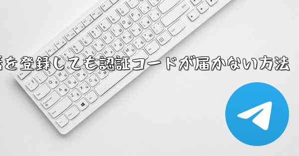 Paper Plane 中国の携帯電話を登録しても認証コードが届かない方法