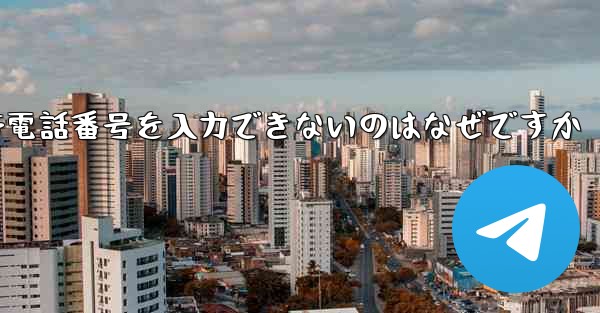 Paper Plane の携帯電話番号を入力できないのはなぜですか