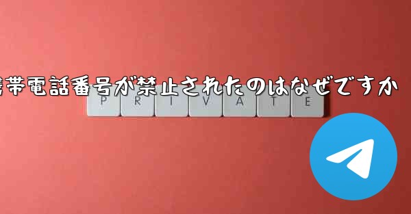 Paper Plane の携帯電話番号が禁止されたのはなぜですか