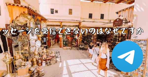 Paper Plane の国内番号からテキスト メッセージを受信できないのはなぜですか